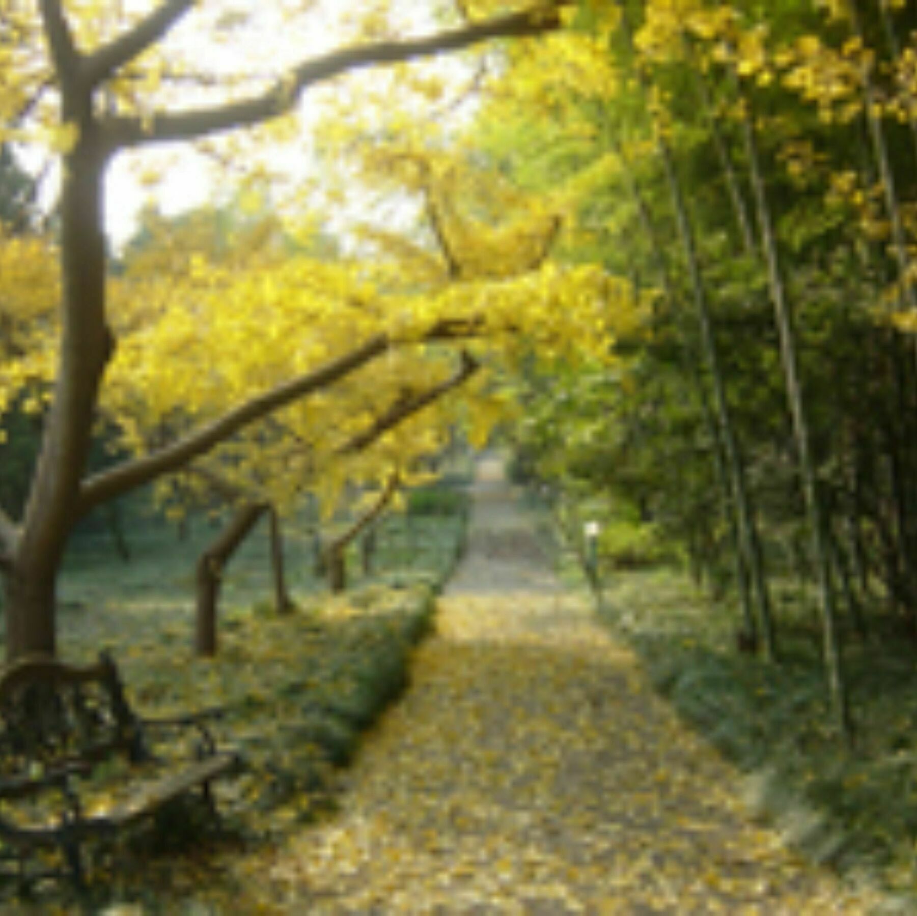 Wuxi Taihu Hotel Luaran gambar